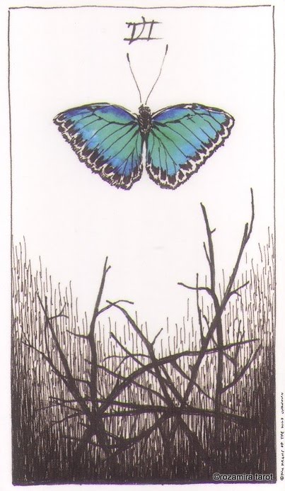 Wild Unknown Tarot